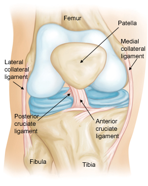 acl-image